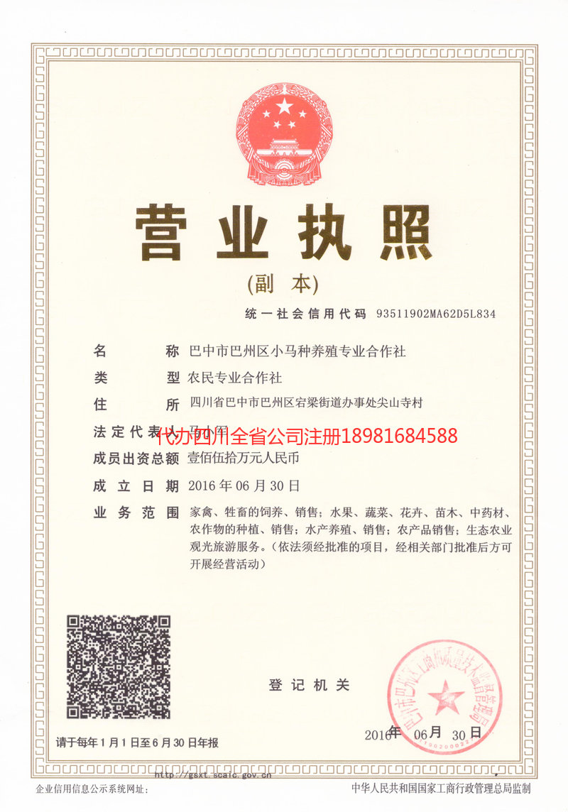 吴川吴川小马种养殖专业合作社